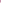 leggings for women with bright pink and soft palm leaf tropical print on deep purple-blue background