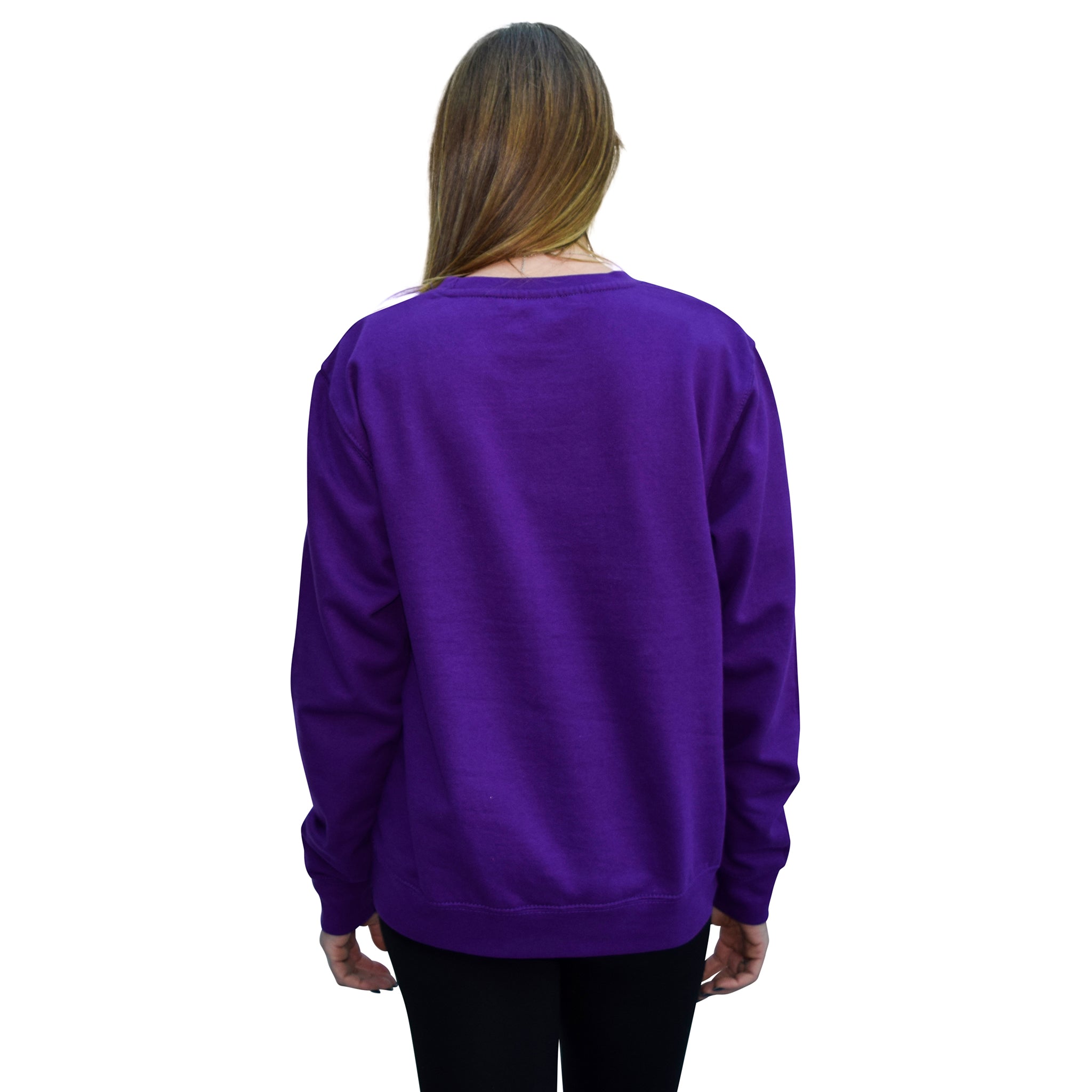 Purple Passion Llama Sweatshirt-Jumpers
