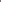 Burgundy Magic Shorts + Pockets