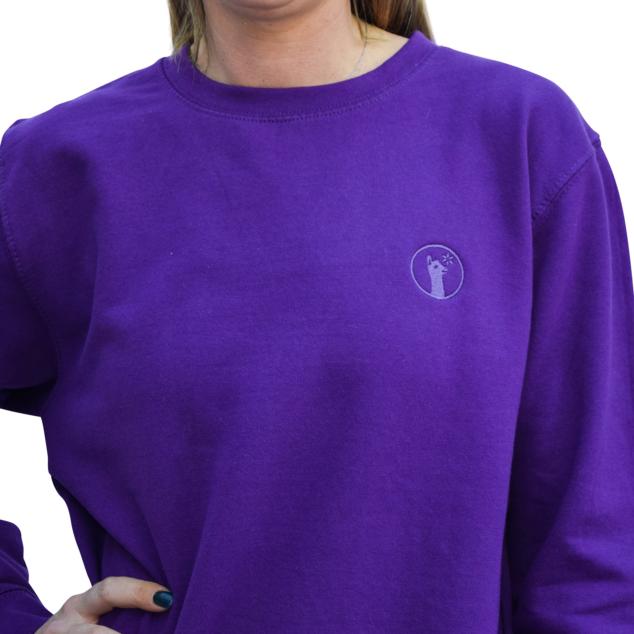 Purple Passion Llama Sweatshirt-Jumpers