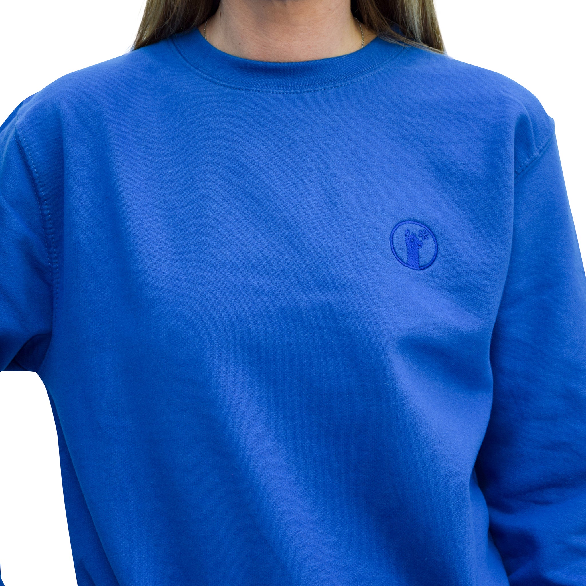 Blue Royale Llama Sweatshirt-Jumpers