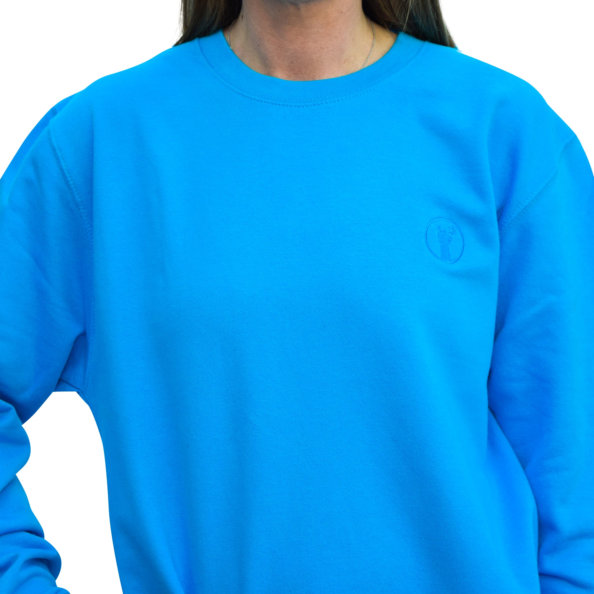 Blue Dream Llama Sweatshirt-Jumpers