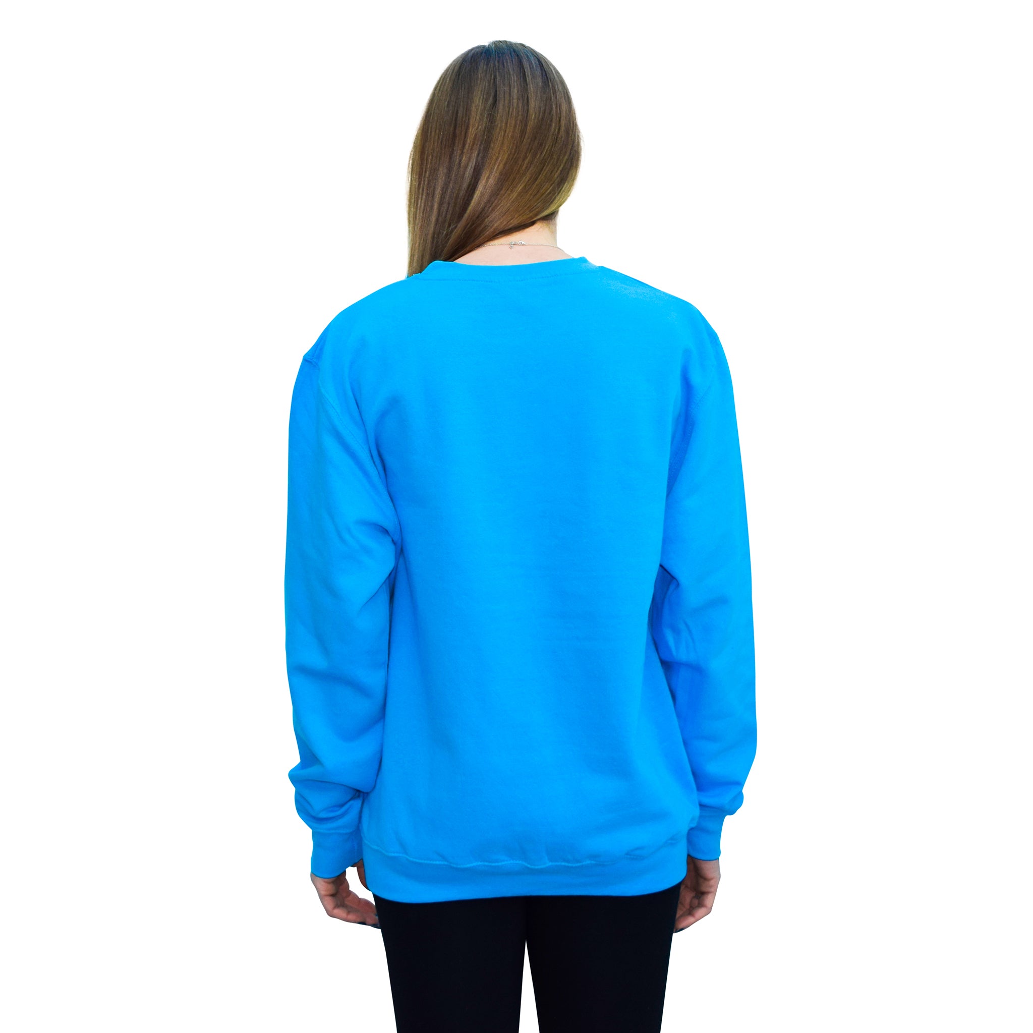 Blue Dream Llama Sweatshirt-Jumpers