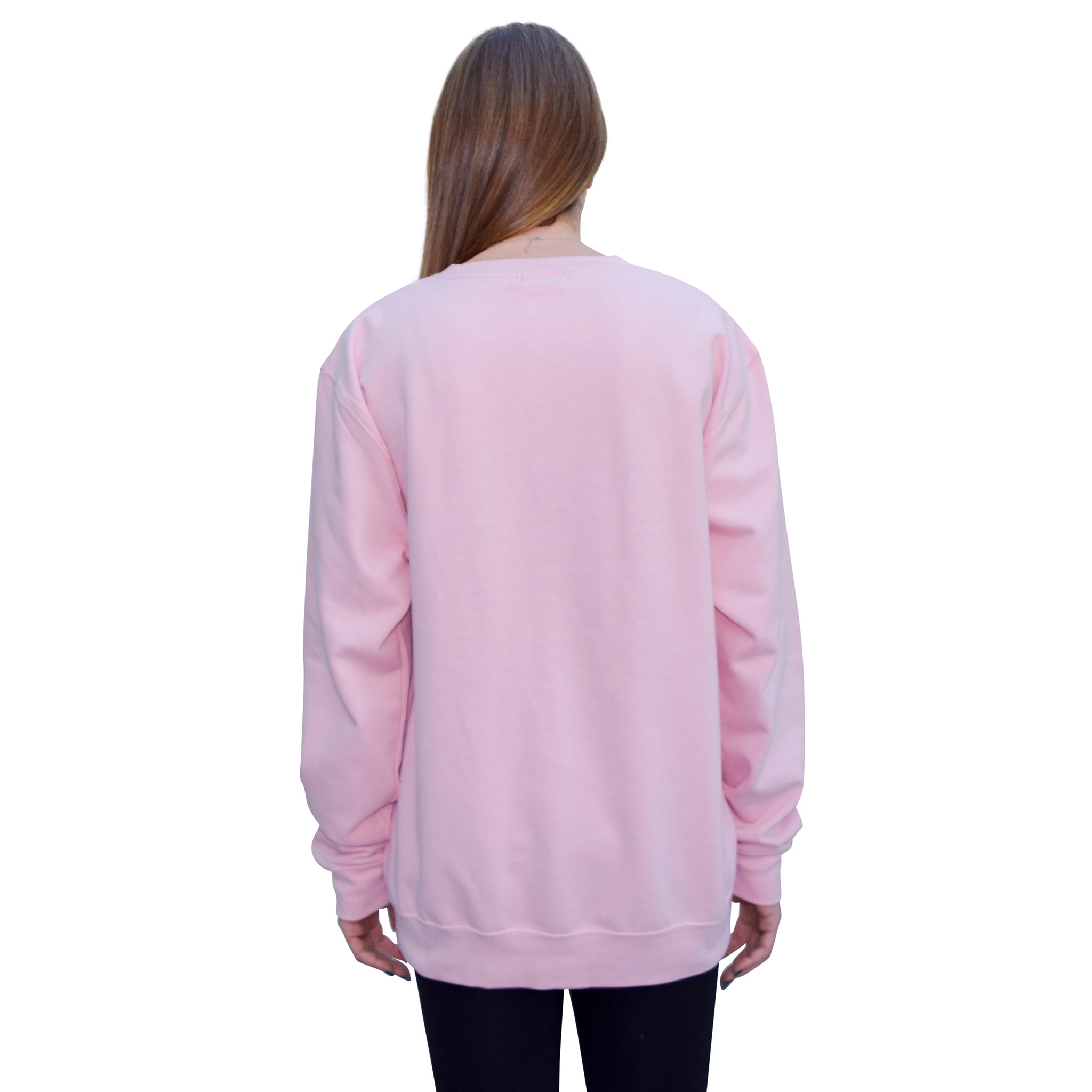 Baby Pink Llama Sweatshirt-Jumpers