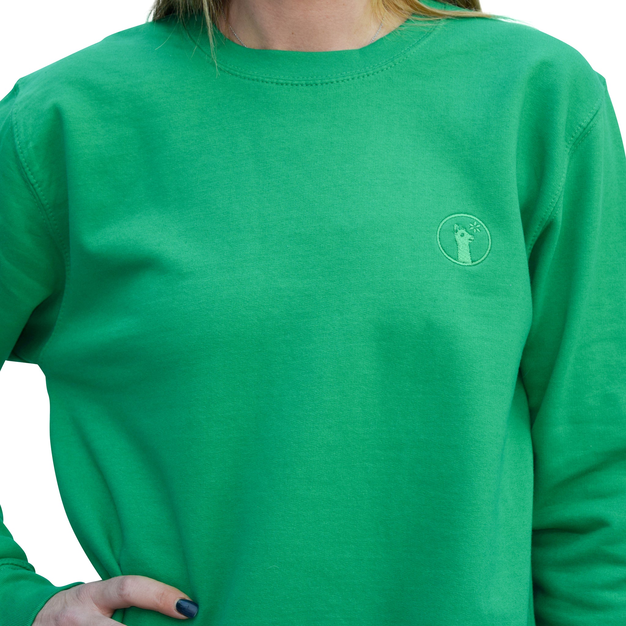 Green Llama Sweatshirt-Jumpers